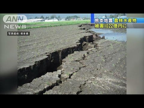 熊本地震、農林水産被害１千億円超…阪神上回る 2016年05月01日 22時53分