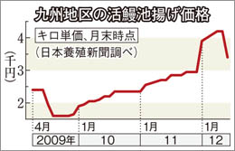 ウナギ高騰、アフリカ産が救う…初の本格輸入