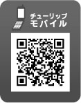 長野北部で震度５弱 推定Ｍ５．０