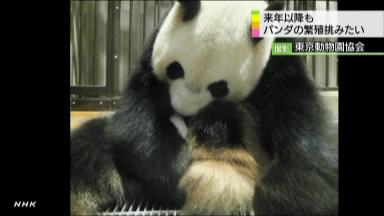 パンダ:赤ちゃん急死 夢をありがとう 上野動物園、繁殖の難しさ痛感