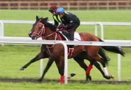 英競馬:ディープブリランテ、日本から６年ぶり挑戦