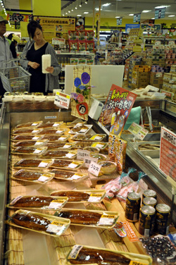 元気な夏への必需品 愛知「一色うなぎ」出荷ピーク