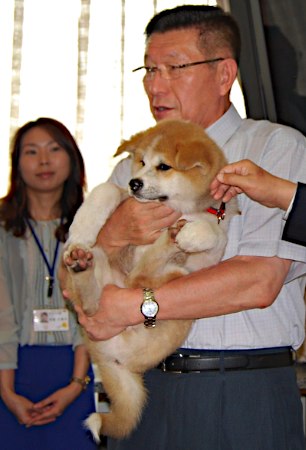 秋田犬の返礼にシベリア猫 プーチン大統領、秋田県知事に