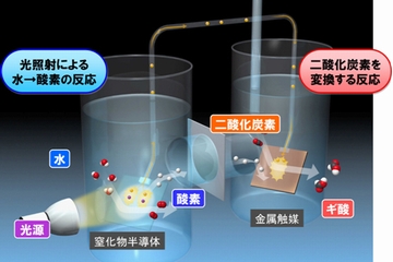 植物並みの人工光合成 パナソニックが技術開発