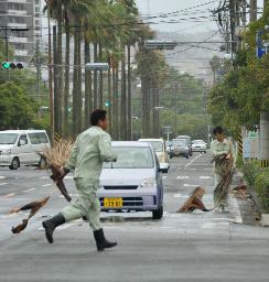 台風１０号:最大瞬間風速３９．６ｍ…鹿児島県中種子町