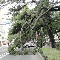 台風１０号、鹿児島の７０世帯自主避難