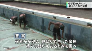 金魚放したと女子中生「多すぎて飼えず」