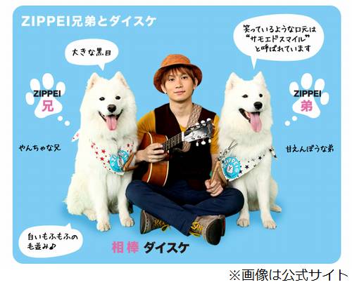 47NEWS ＞ 共同ニュース ＞ 犬のＺＩＰＰＥＩ死ぬ 日テレ系情報番組に出演