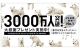 ソフトバンクモバイル、累計契約数が3000万件を突破……歴代お父さんグッズプレゼントなどを実施