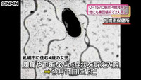 「O157」で4歳女児ら3人死亡 100人が症状訴え