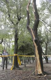 大阪・長居公園の落雷現場