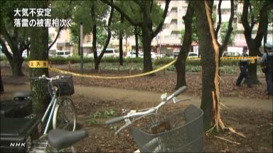 重体の２２歳女性も死亡…大阪・長居公園の落雷