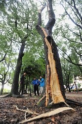 大阪の落雷:北九州市の女性死亡 死者２人に