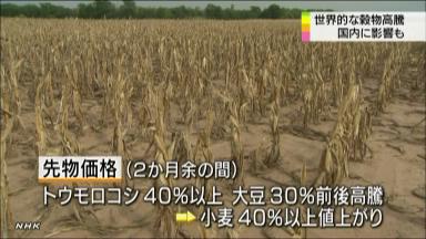 穀物価格高騰 食料危機の再燃は防ぎたい（8月20日付・読売社説）