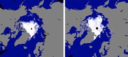 北極海の氷 この時期では最小に