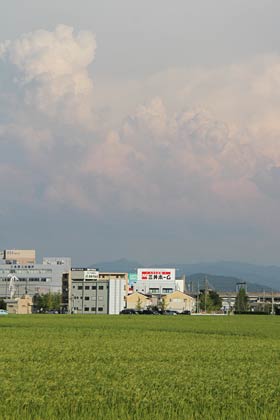 22日の三条は最高気温35.7度でこの夏最高を更新する厳しい残暑