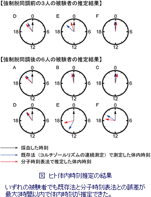 血液から簡単に“体内時刻”を知る方法