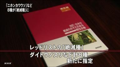 ８種の野生生物 「絶滅種」に指定