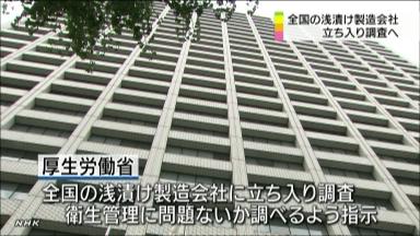 浅漬け製造、８５施設で野菜を殺菌せず…北海道