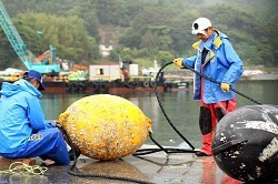 水産業特区 踏み出す