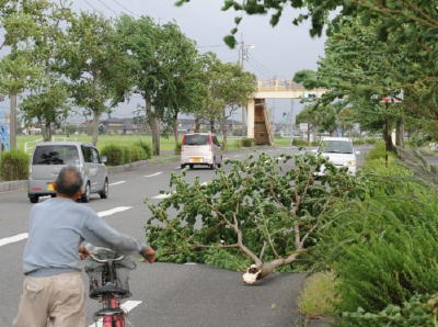 ６市４町で自主避難 台風１６号