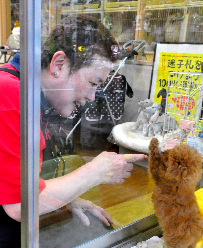 どうぶつ愛護フェス:可愛い動物を抱っこ−−佐賀 ／佐賀