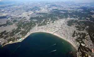 鎌倉・鶴岡八幡宮を専門家が視察 世界遺産登録に向け