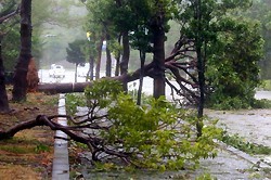 台風１７号:沖縄や鹿児島で３０人以上けが 停電も広がる