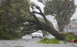 台風１７号：直撃 ５０人負傷