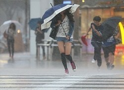 台風１７号:愛知県東部に上陸