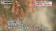 来年春の花粉 関東や北日本で２～５倍