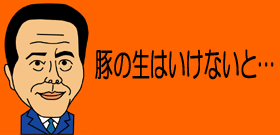 「豚レバ刺し」牛がダメならこっちがあるさ！専門家は警鐘「リスク覚悟でどうぞ」