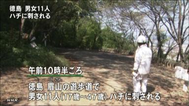 ハチ:登山道で刺され男女１１人が病院へ搬送 徳島市