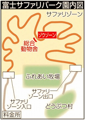 ゾウ出産直後で興奮か 富士サファリ飼育員死亡