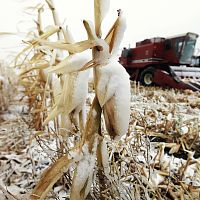 食料価格高騰 高止まりの懸念残る