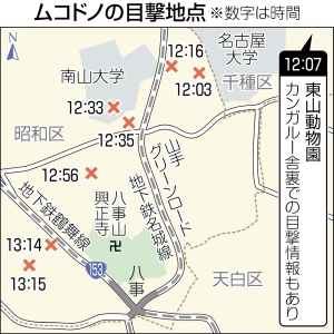 逃走のニホンザル「ムコドノ」が御用 名古屋の動物園から約１０キロの住宅街