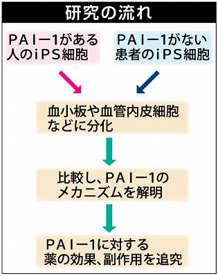 ｉＰＳ細胞 浜松医大も研究「本腰」