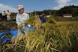 東電、福島の除染専門社員を３倍に 全社員も現地に順次派遣