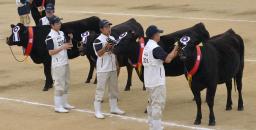 和牛五輪、肉牛の部2部門で優等賞