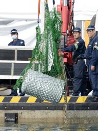 尼崎連続変死:ドラム缶から男性遺体 岡山の海底から回収