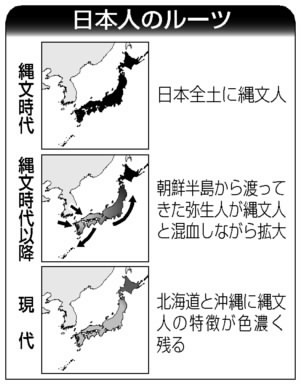 アイヌ民族と沖縄の人、遺伝的な特徴に共通点