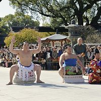 日馬富士土俵入り、太宰府天満宮で披露