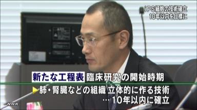 ｉＰＳ細胞:医療実用化 脊髄損傷は５年以内 行程表改定