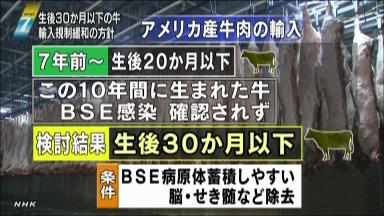 ＢＳＥ対策、月齢「30カ月以下」了承 厚労省審議会