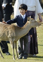 悠仁さま 奈良の鹿寄せを見学