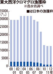 １０年ぶり漁獲枠拡大も＝東大西洋クロマグロ、資源回復で