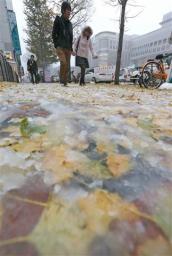 みぞれにブルッ 札幌でも初雪 観測史上２番目に遅く