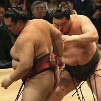 大相撲九州場所:白鵬、４場所ぶり２３度目Ｖ…１４日目