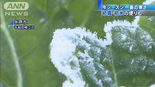 けさは今シーズン一番の寒さ 初霜・初氷の便りも