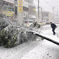 北日本 猛吹雪